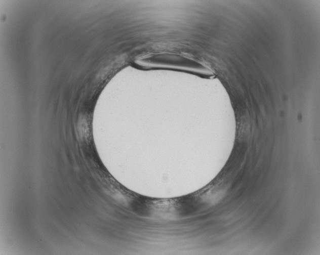 X0000062870335200602031723