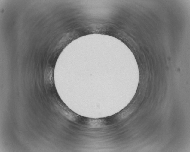 X0000062870336200602031723