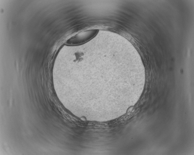 X0000062870337200602031722