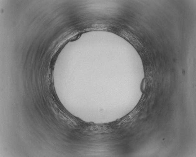 X0000062870338200602031722