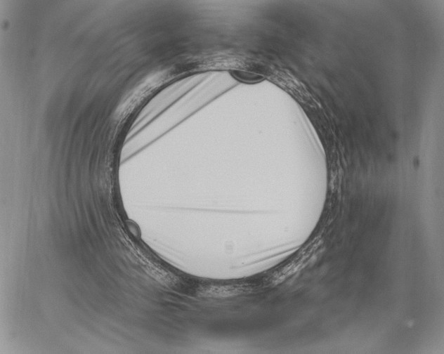 X0000062870341200602031722