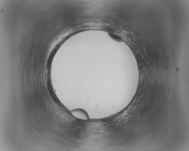 X0000062870342200602031722