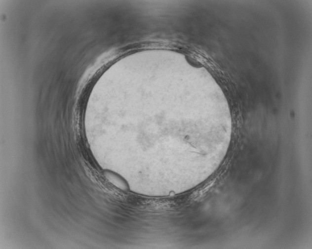 X0000062870343200602031722