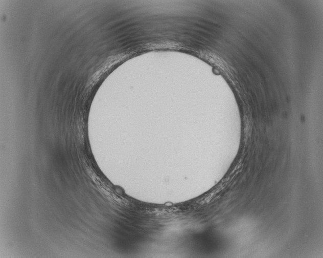 X0000062870345200602031722