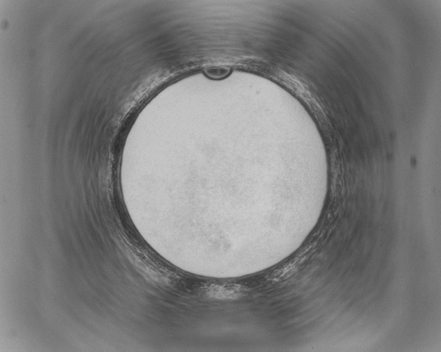 X0000062870346200602031722