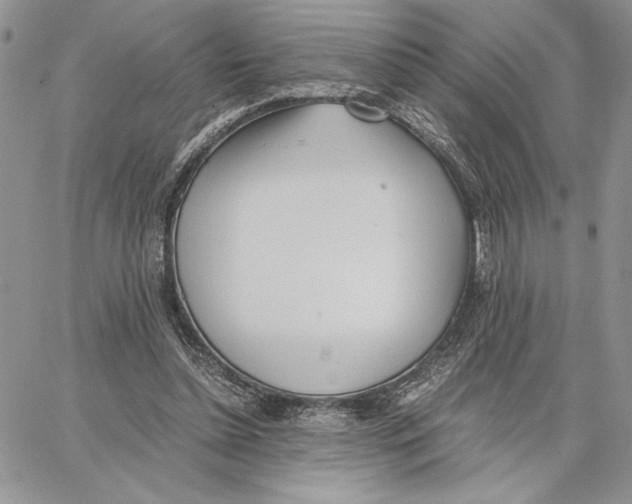 X0000062870348200602031722