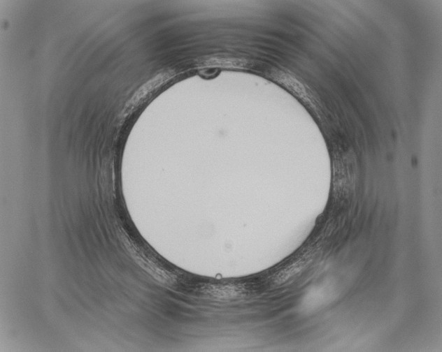 X0000062870349200602031722