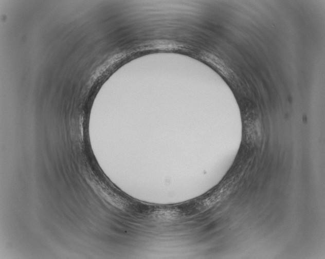 X0000062870350200602031722