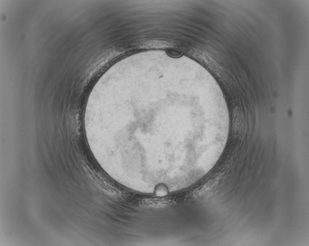 X0000062870351200602031722