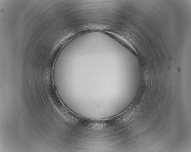 X0000062870352200602031722