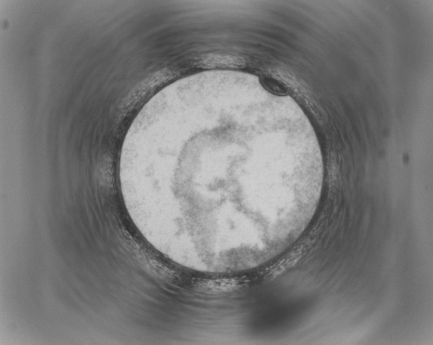 X0000062870353200602031722