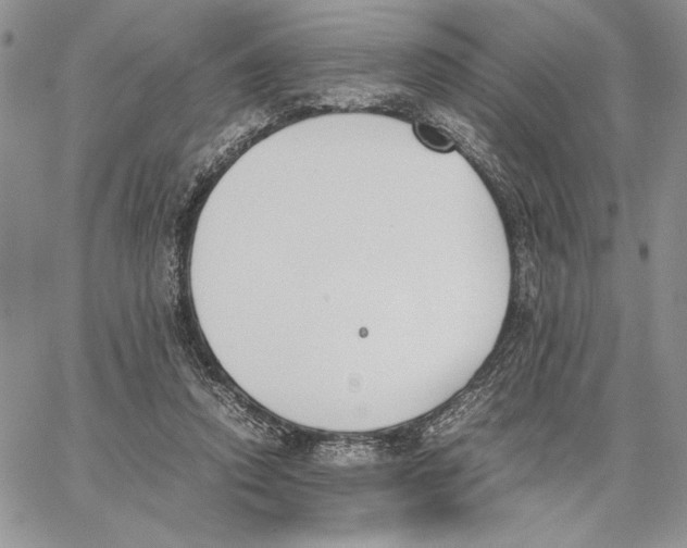 X0000062870354200602031722