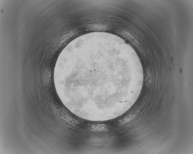 X0000062870355200602031722