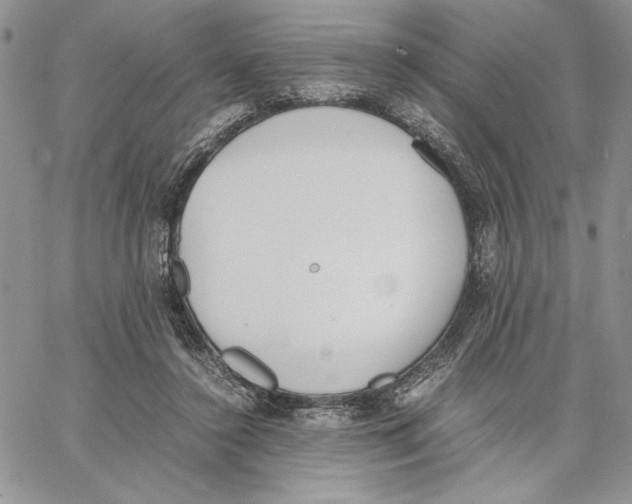 X0000062870356200602031722