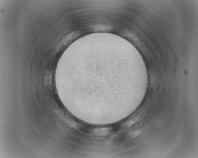 X0000062870357200602031722