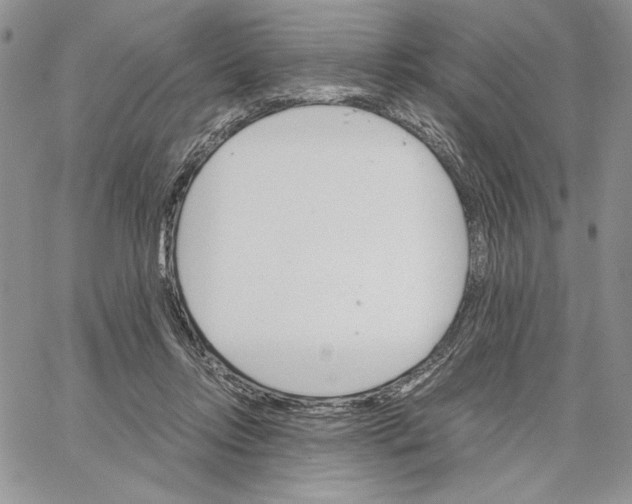 X0000062870358200602031722