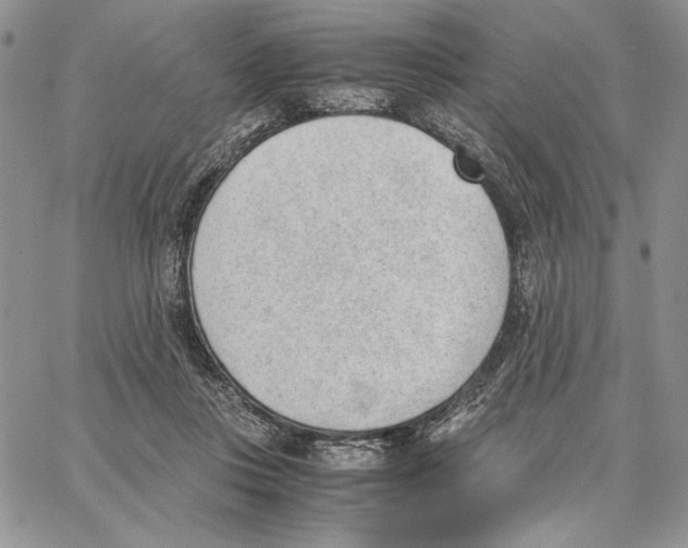 X0000062870359200602031722