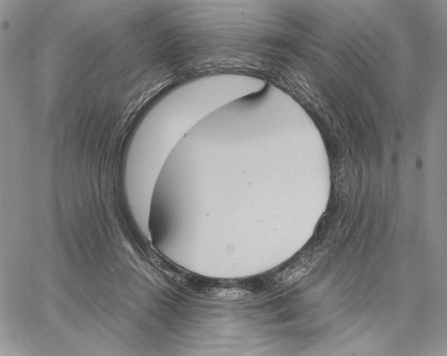 X0000062870360200602031722