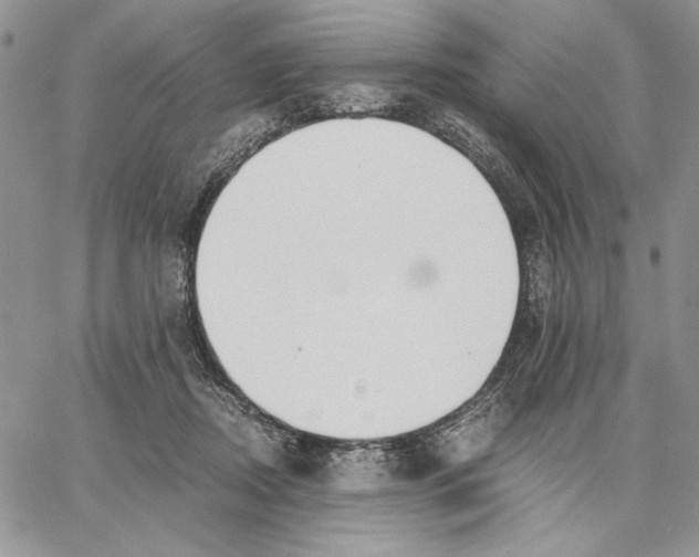 X0000062870362200602031722