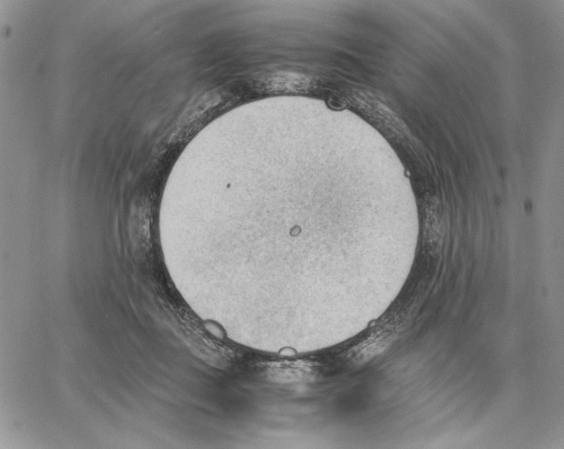 X0000062870363200602031722