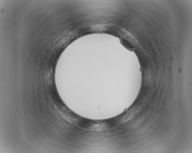 X0000062870364200602031722