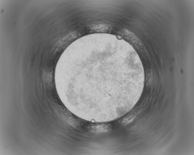 X0000062870365200602031722