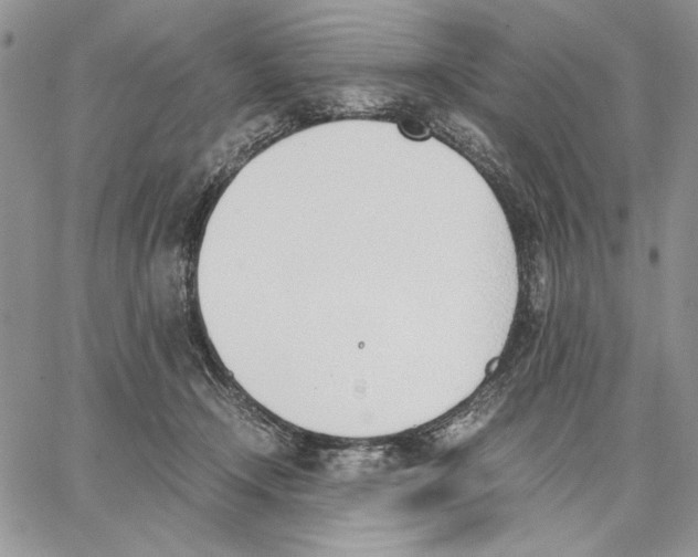 X0000062870366200602031722