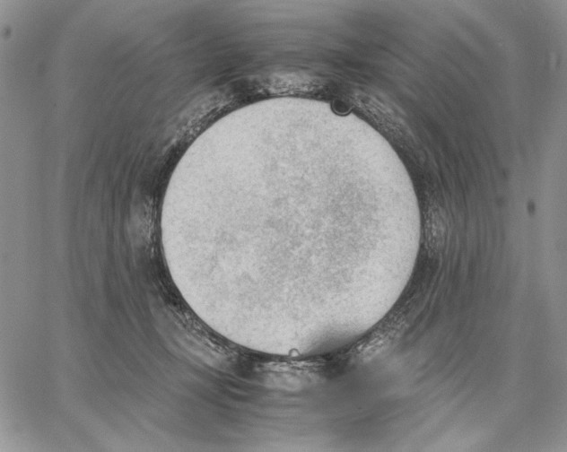 X0000062870367200602031722