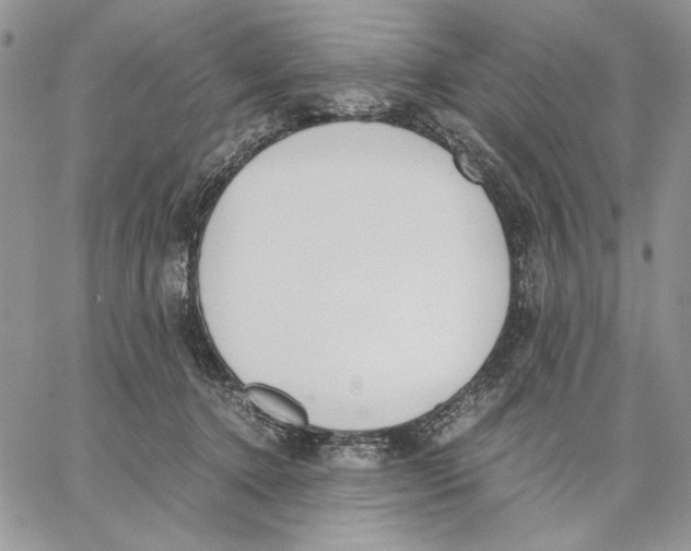 X0000062870368200602031722