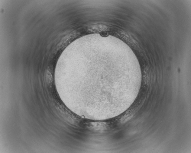 X0000062870371200602031723