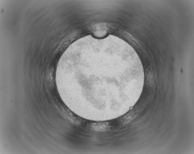 X0000062870373200602031723