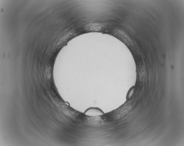 X0000062870374200602031723