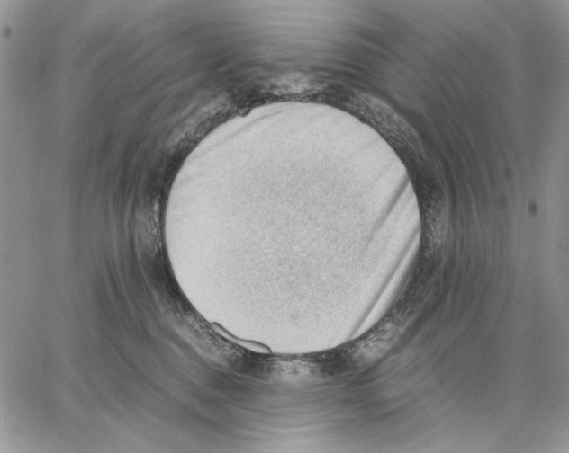 X0000062870376200602031723