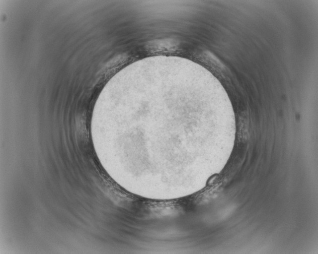 X0000062870377200602031723