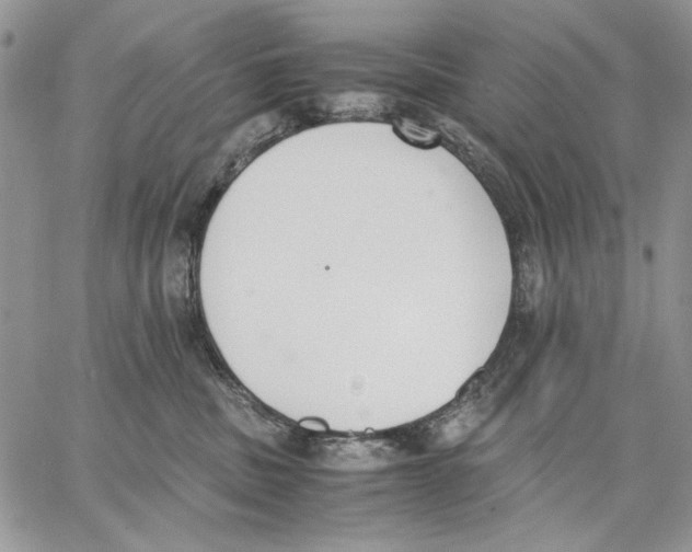 X0000062870379200602031723