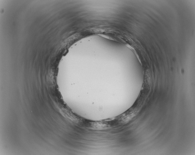 X0000062870380200602031723