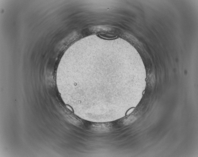 X0000062870381200602031723