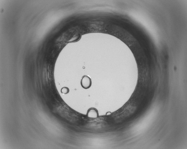 X0000062870382200602031723