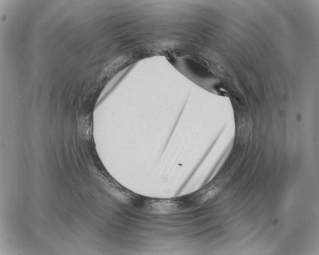 X0000062870383200602031723