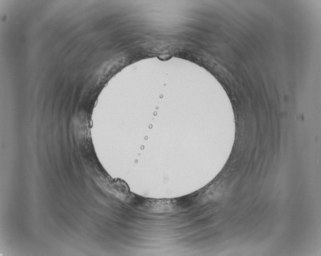 X0000062870384200602031723