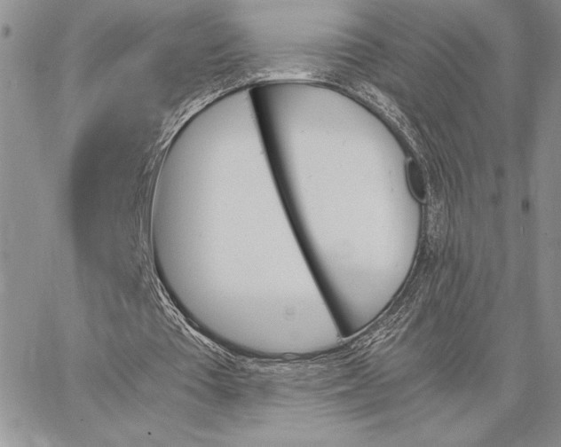 X0000062870385200602031722