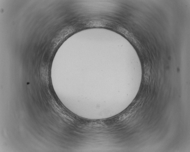 X0000062870386200602031722