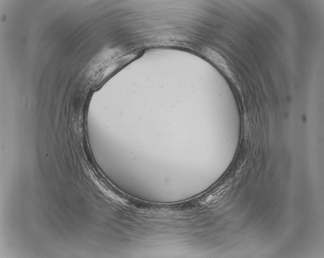 X0000062870389200602031722