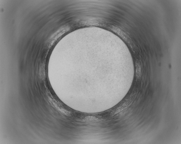 X0000062870390200602031722