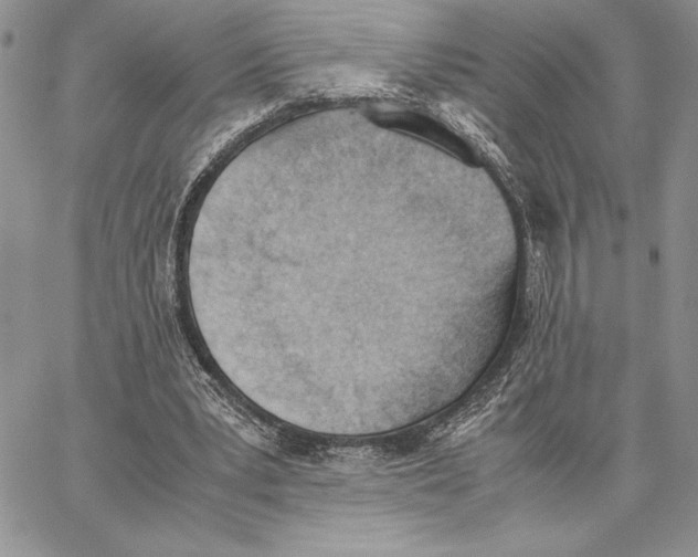 X0000062870391200602031722