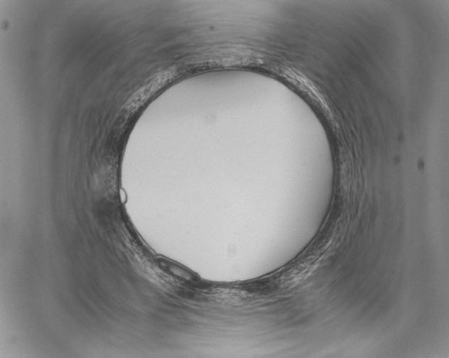 X0000062870393200602031722