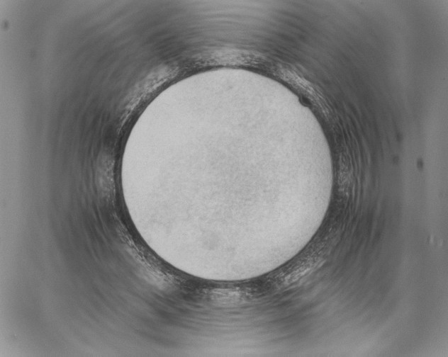 X0000062870394200602031722