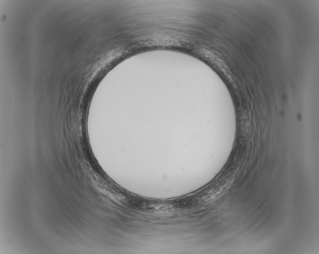 X0000062870395200602031722