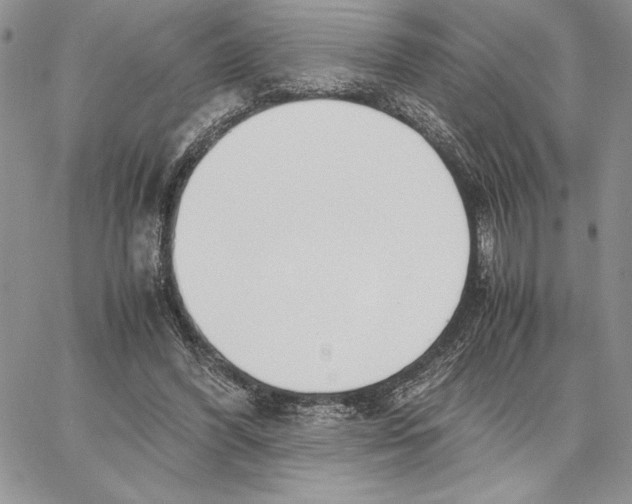 X0000062870396200602031722