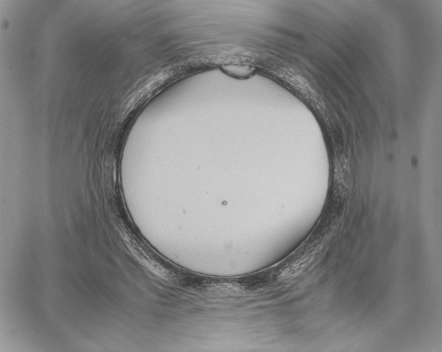 X0000062870397200602031722